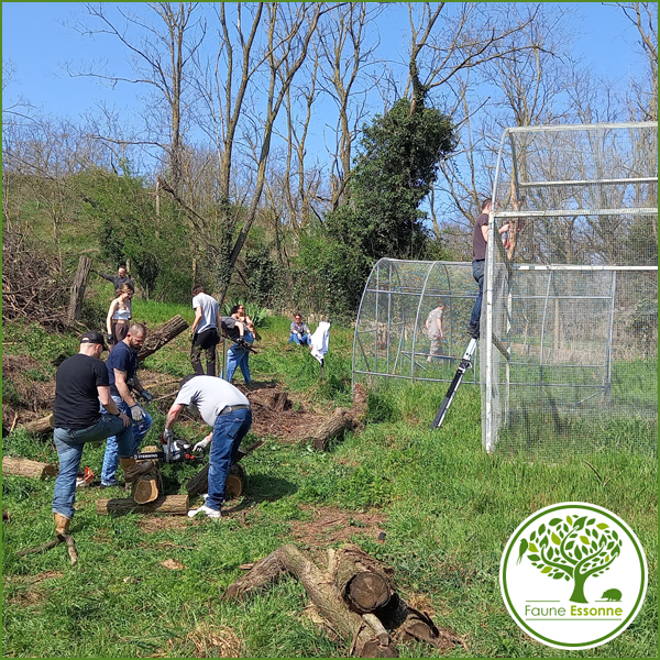 Entretien du site Faune Essonne