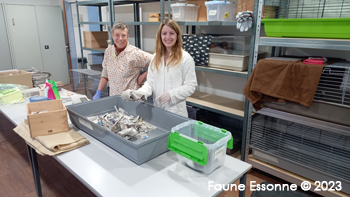 Véronique et Amandine pour les soins