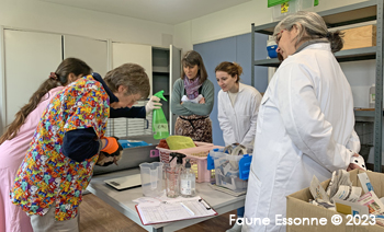 Formation des soins animée par Véronique, avec Valérie, Céline, Amandine et Sandra