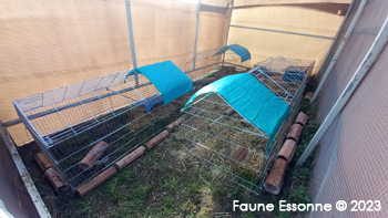 Opération mise en place des enclos extèrieurs pour les pré-relâchers.