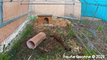 4 enclos ont été montés par Sophie, Nathalie et Laurent.