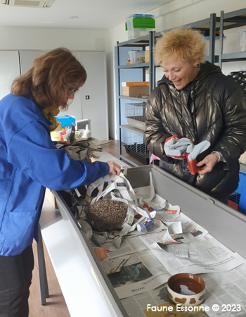 Sophie, une de nos soigneuses, remet Roméo à Sylvie, la découvreuse de Roméo, après plusieurs mois passé au Centre de soins Faune Essonne.