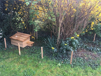 Sylvie, la découvreuse de Roméo, a préalablement préparé dans son jardin un espace de transition afin d'aider Roméo à retrouver le chemin de son milieu naturel... c'est une belle récompense pour l'équipe de Faune Essonne !