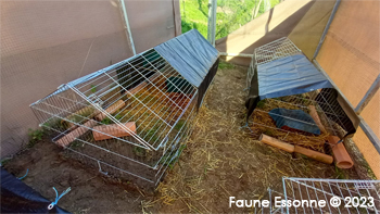 Dernières petites touches aux enclos pour qu'ils soient opérationnels.