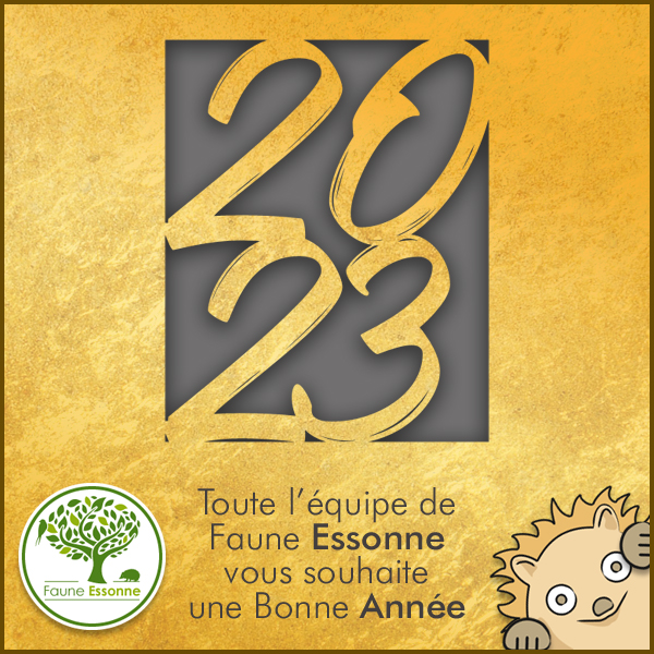 Bonne et heureuse Année 2023 Bonne et heureuse Année 2023