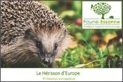 Faune Essonne - Conférence