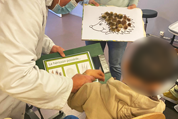 Faune Essonne - Atelier de sensibilisation sur le hérisson