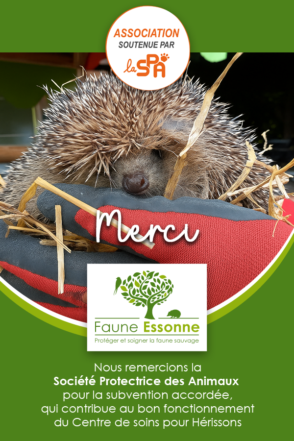 Soutien de l'association Faune essonne par la Société Protectrice des Animaux Soutien de l'association Faune essonne par la Société Protectrice des Animaux