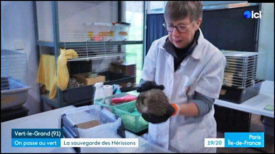 Reportage de France Television Ile de France - Faune Essonne