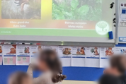 Photo Faune Essonne - Interventions ludiques à l'école élémentaire d'Angervilliers