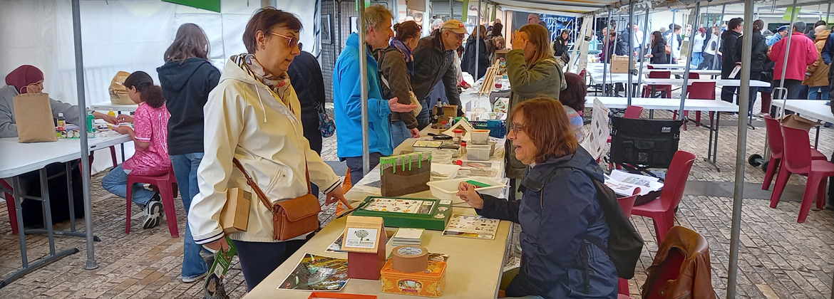Photo Faune Essonne - Interventions aux Vertifolies de Massy