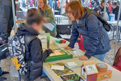 Photo Faune Essonne - Interventions aux Vertifolies de Massy