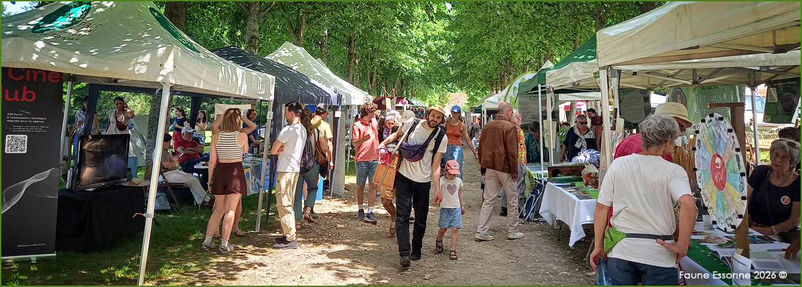 Photo représentant les stands de l'éco-festival de Courance