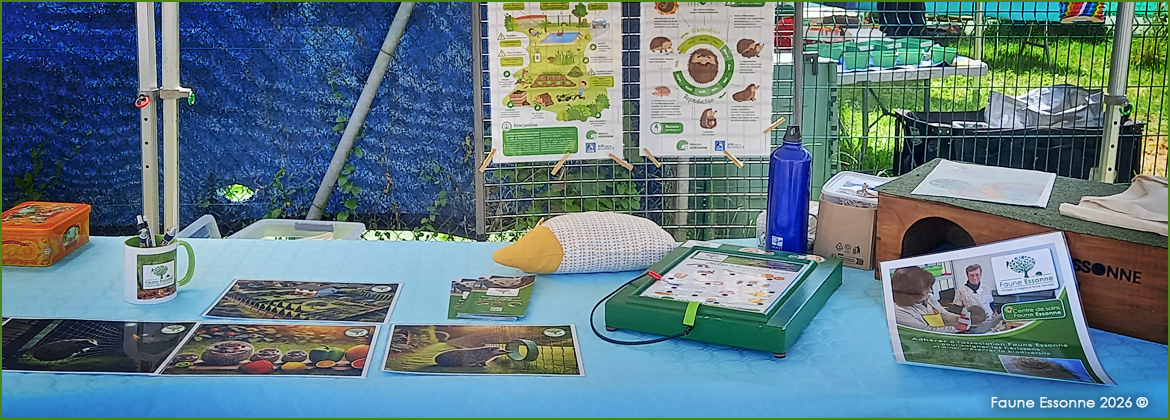 Faune Essonne - Participation au Rallye Nature à Saint-Germain-lès-Arpajon