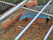 Avant de découvrir son Jardin d'accueil, Josselin a résidé dans un enclos extèrieur de transition au Centre de soins Faune Essonne pendant une quinzaine de jours.