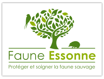 Faune Essonne