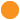 puce orange